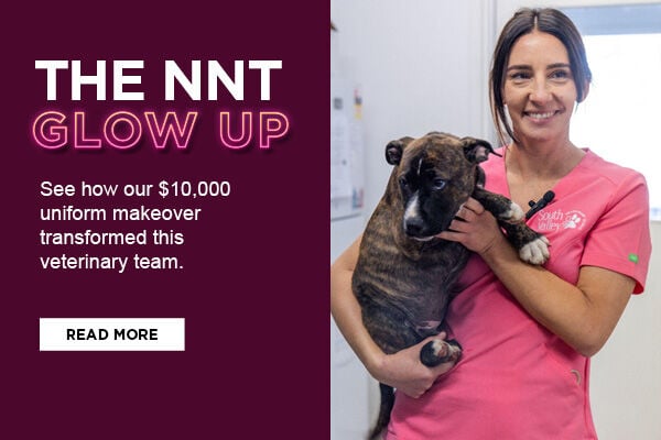 The NNT Glow Up - see this vet clinic's winning transformation