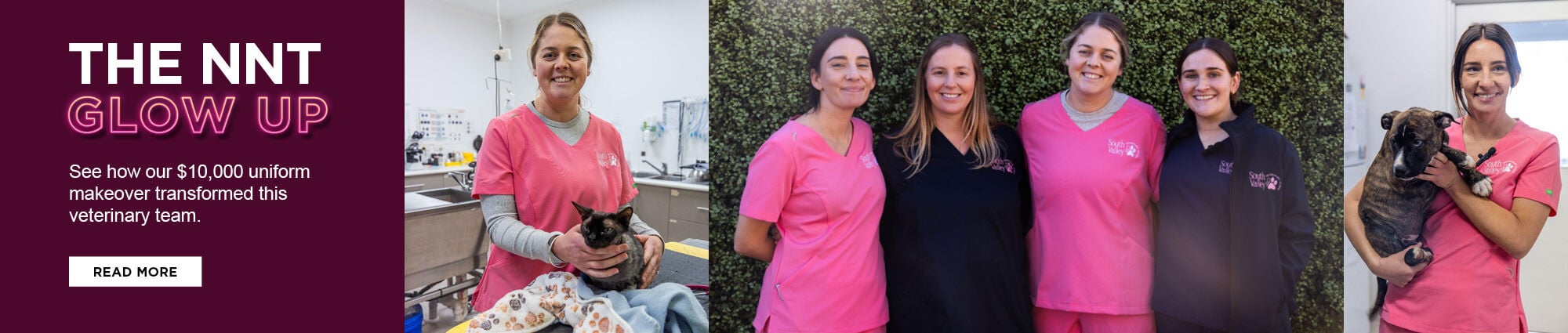 The NNT Glow Up - see this vet clinic's winning transformation