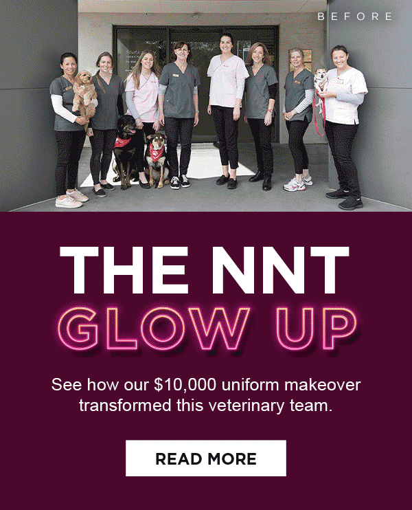 The NNT Glow Up - see this vet clinic's winning transformation